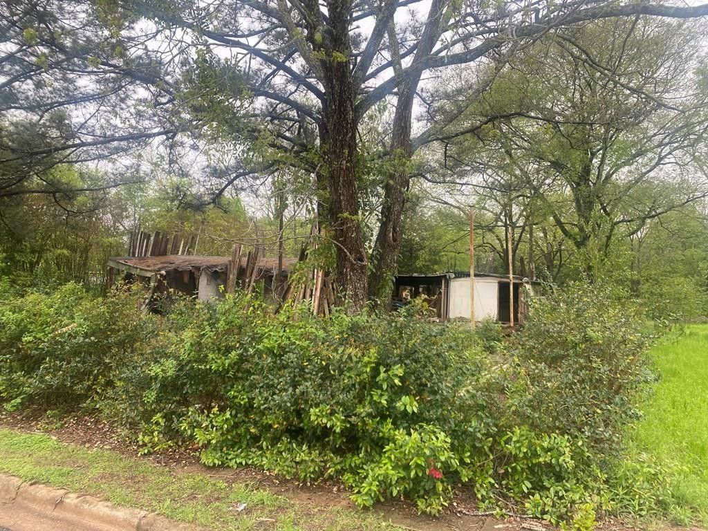 0.34 Acres, 322 S ML Hudston St B, Plains, GA 31780 Land and Farm