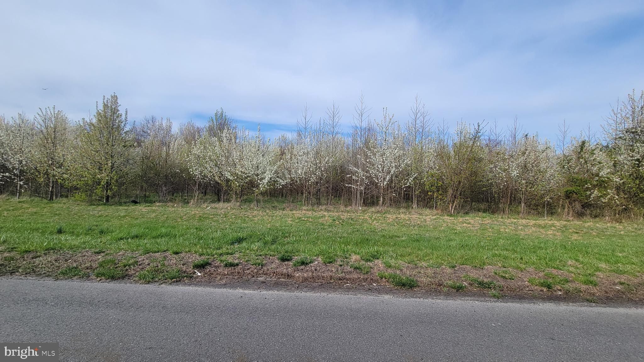 4.83 Acres, 1623 ROUTE 70, Southampton, NJ 08088 Land and Farm