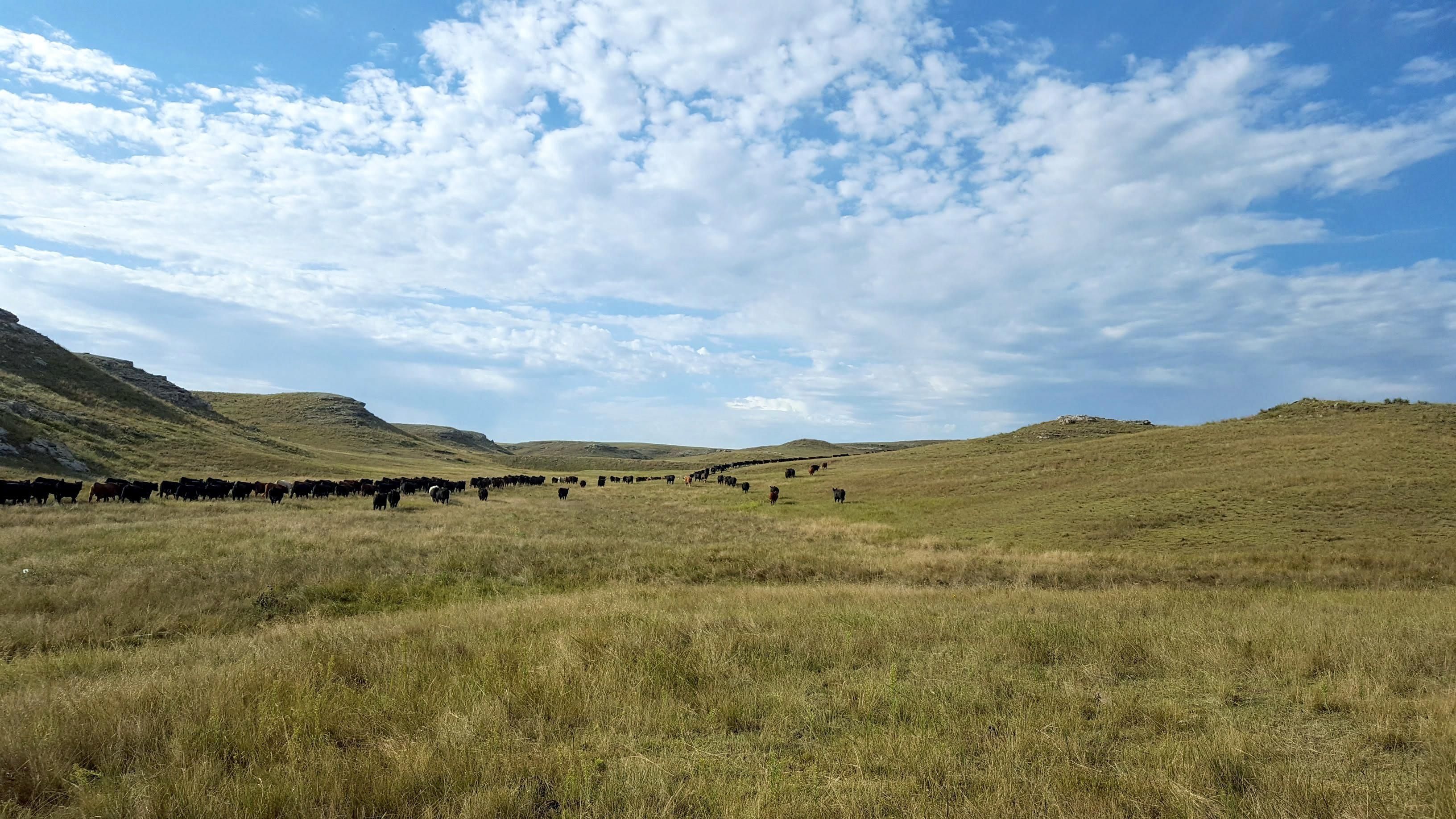 13,424 acres in Potter, NE, 69156 MLS RGM Corp. Ranch Land and Farm