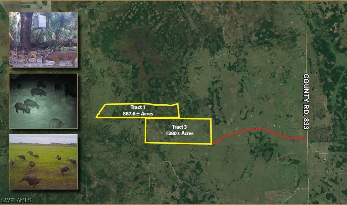 2,167 Acres, 11035 county 833 Road, Clewiston, FL 33440 Land and Farm