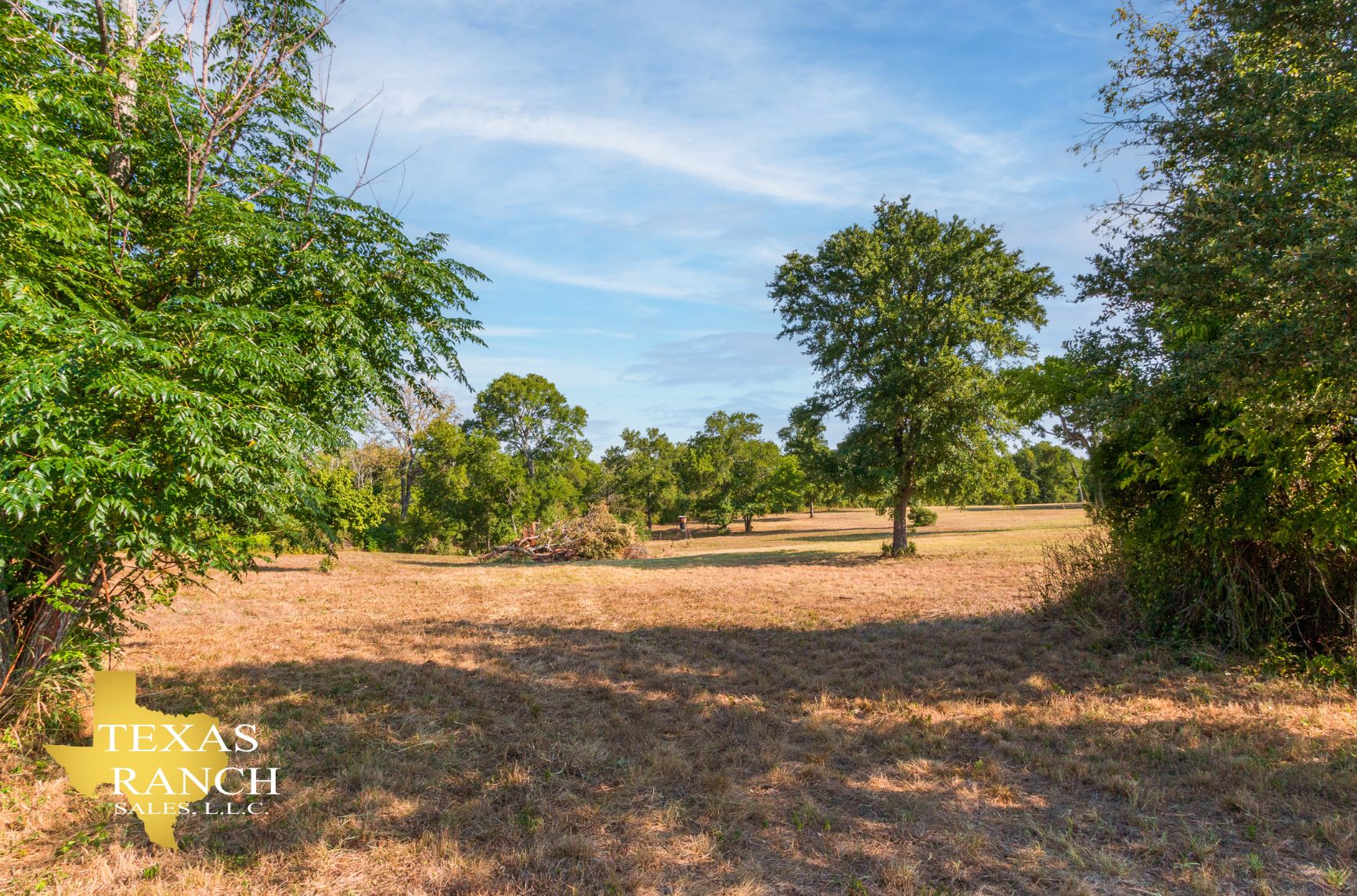 5 Acres, Manor, TX 78653 Land and Farm