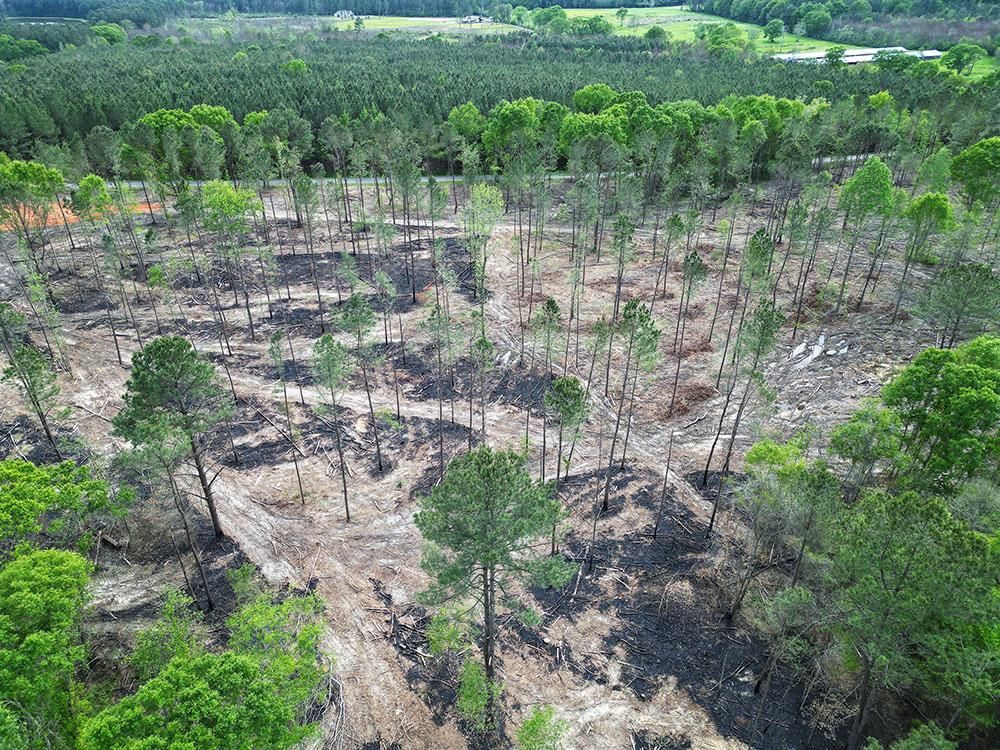 Buffalo Hill Road, Ellisville, MS 39437 Land and Farm