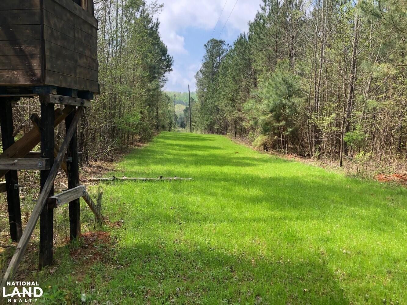 40 Acres, CR 59, Moulton, AL 35650 Land and Farm