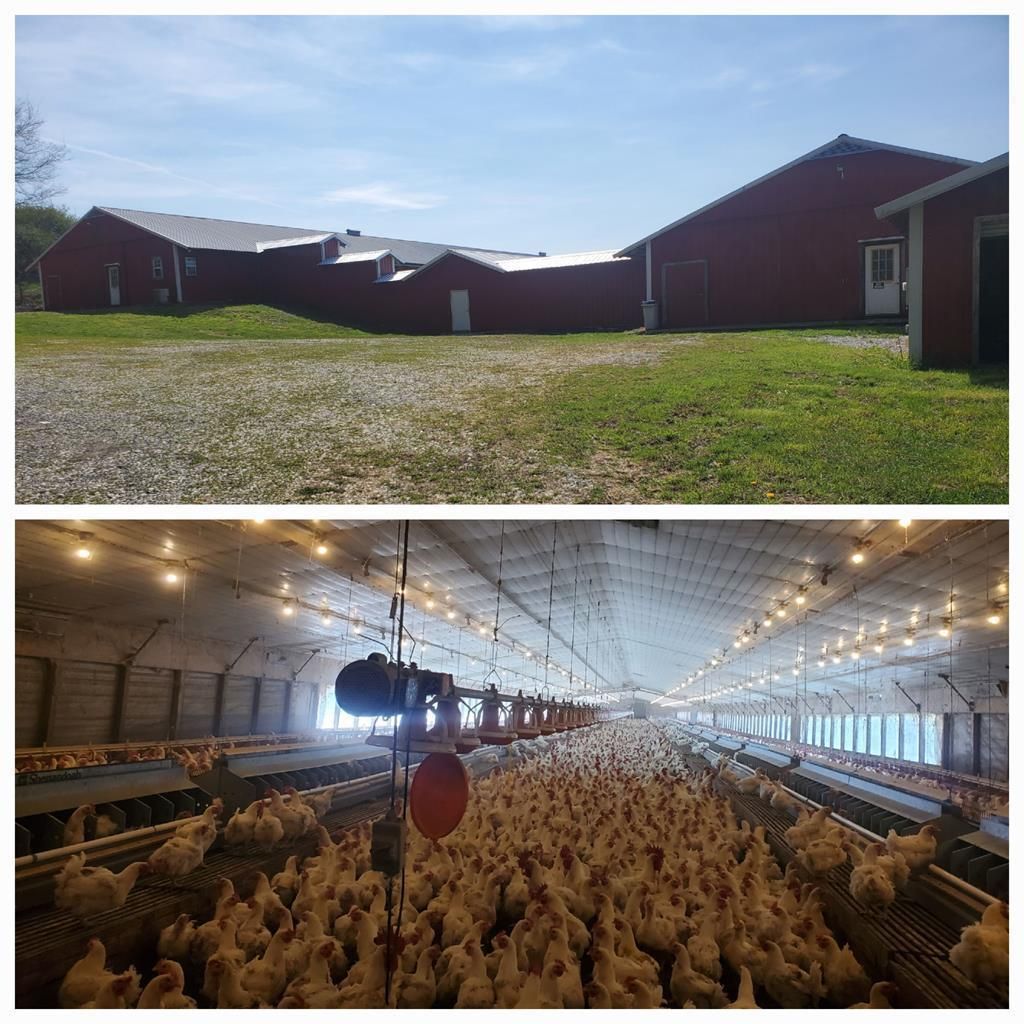 1625 Red Hill Valley Road SE, Cleveland, TN 37323 MLS 20231324