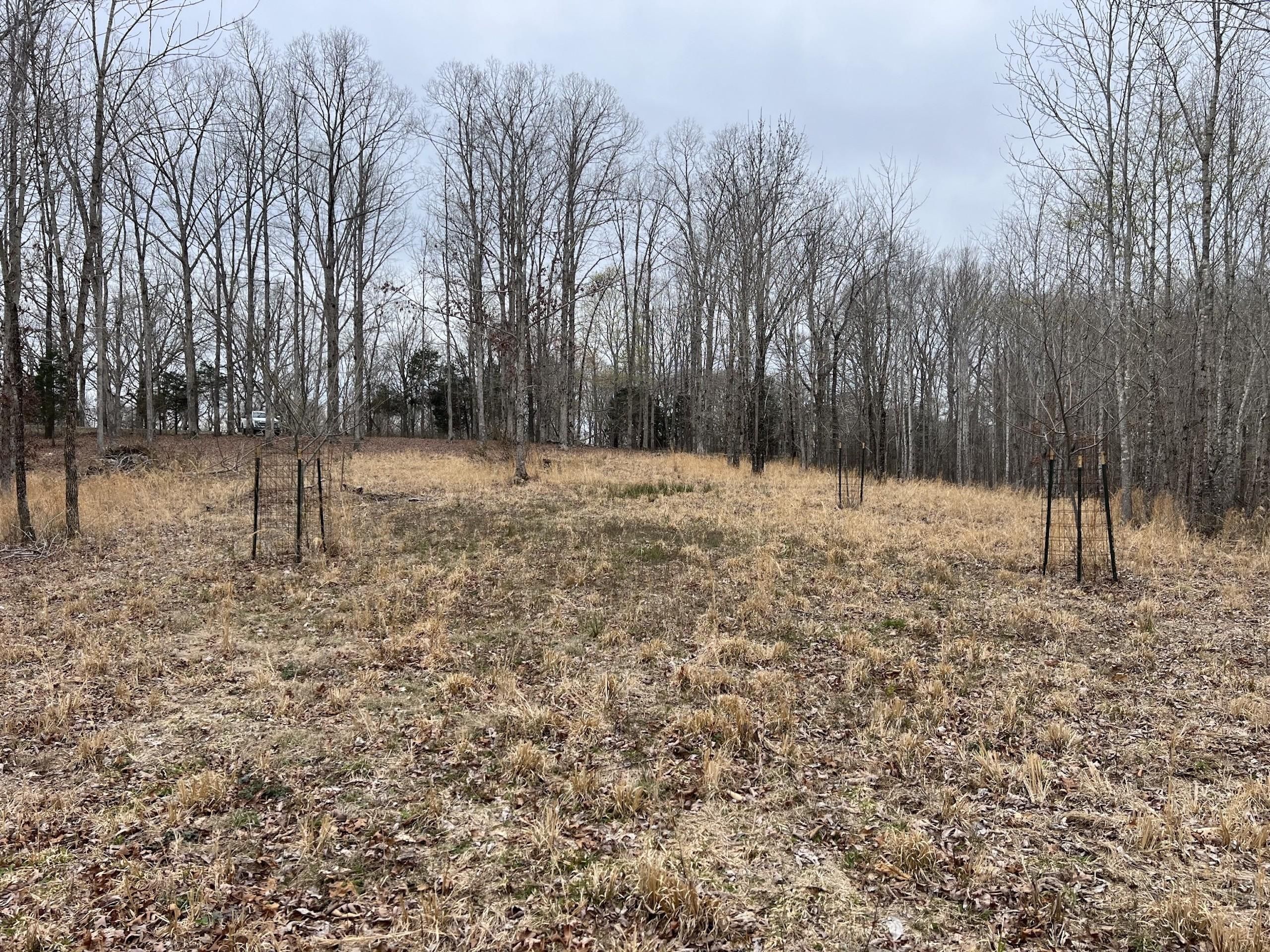 72.59 Acres, 5350 Halls Creek Rd, Waverly, TN 37185 Land and Farm