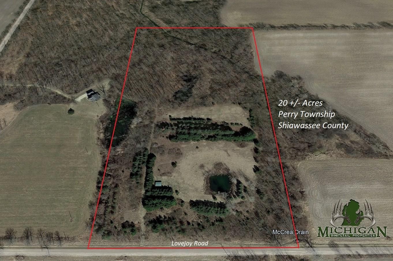 20 Acres, VL Lovejoy Road, Perry, MI 48872 Land and Farm
