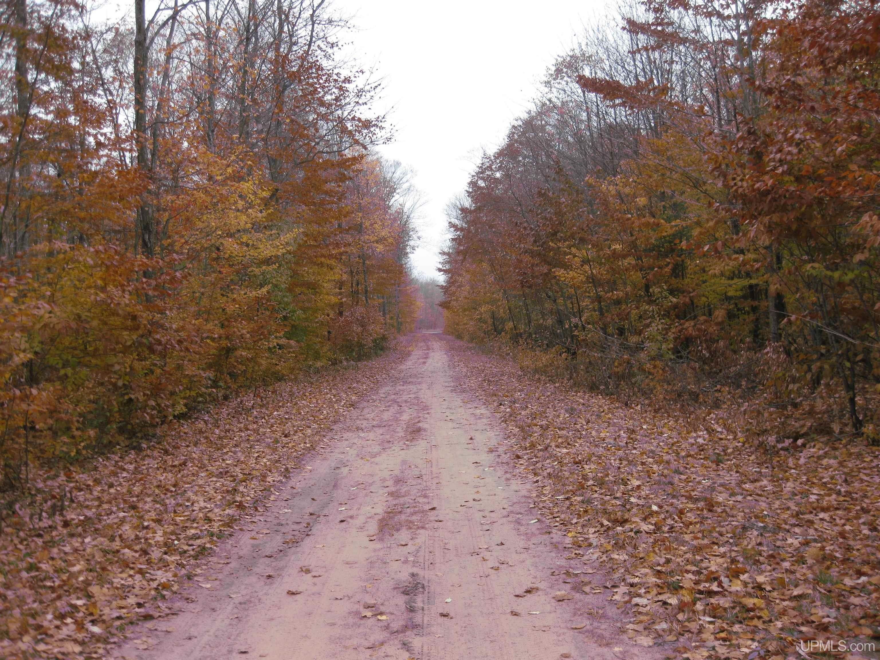 TBD H33, Curtis, MI 49820 MLS 50102629 Land and Farm