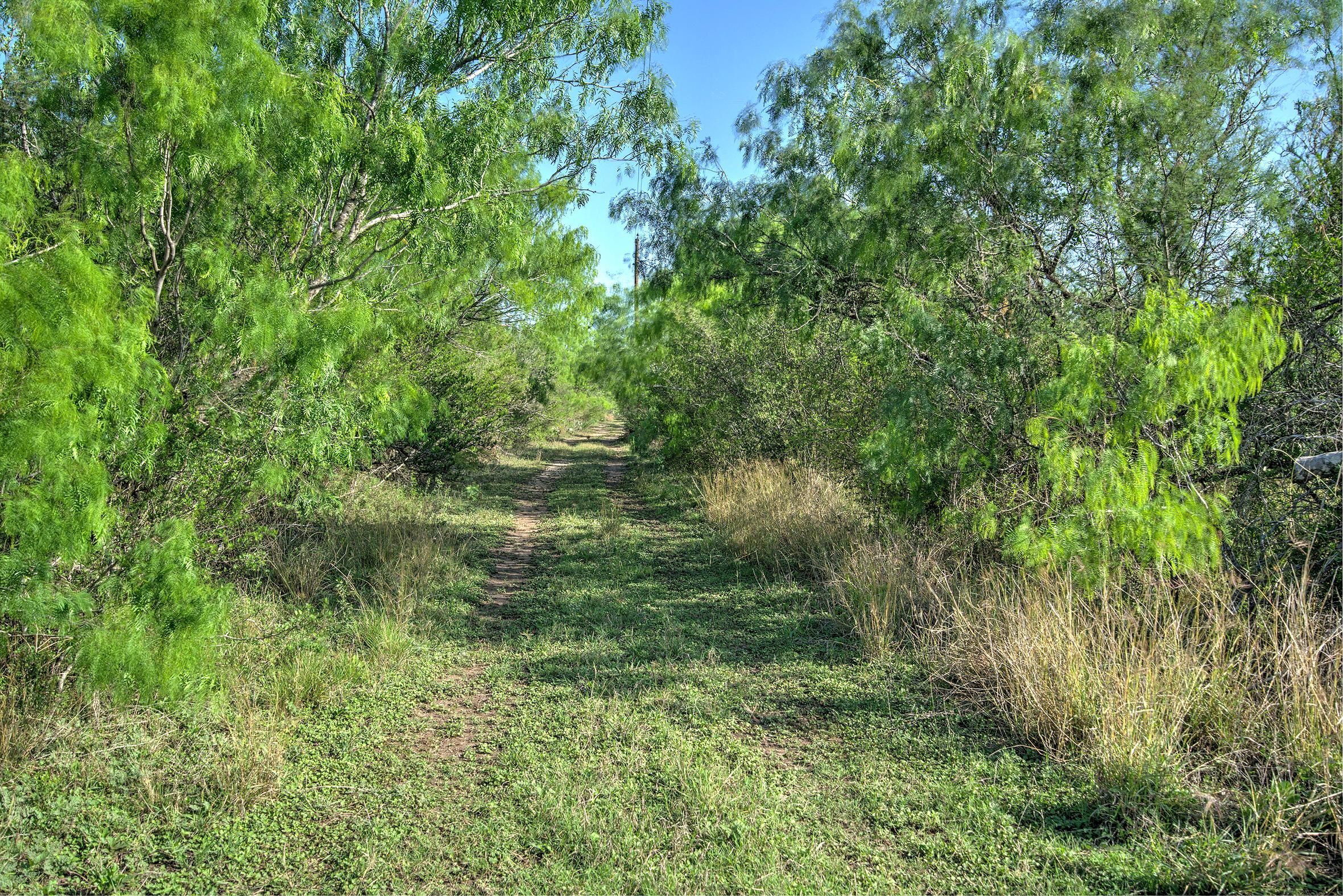 223 Acres, 0 Co Rd 238 & Co Rd 296, Falfurrias, TX 78355 Land and Farm