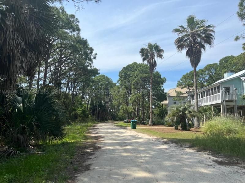 Harry Morrison Road, Panacea, FL 32346 Land and Farm