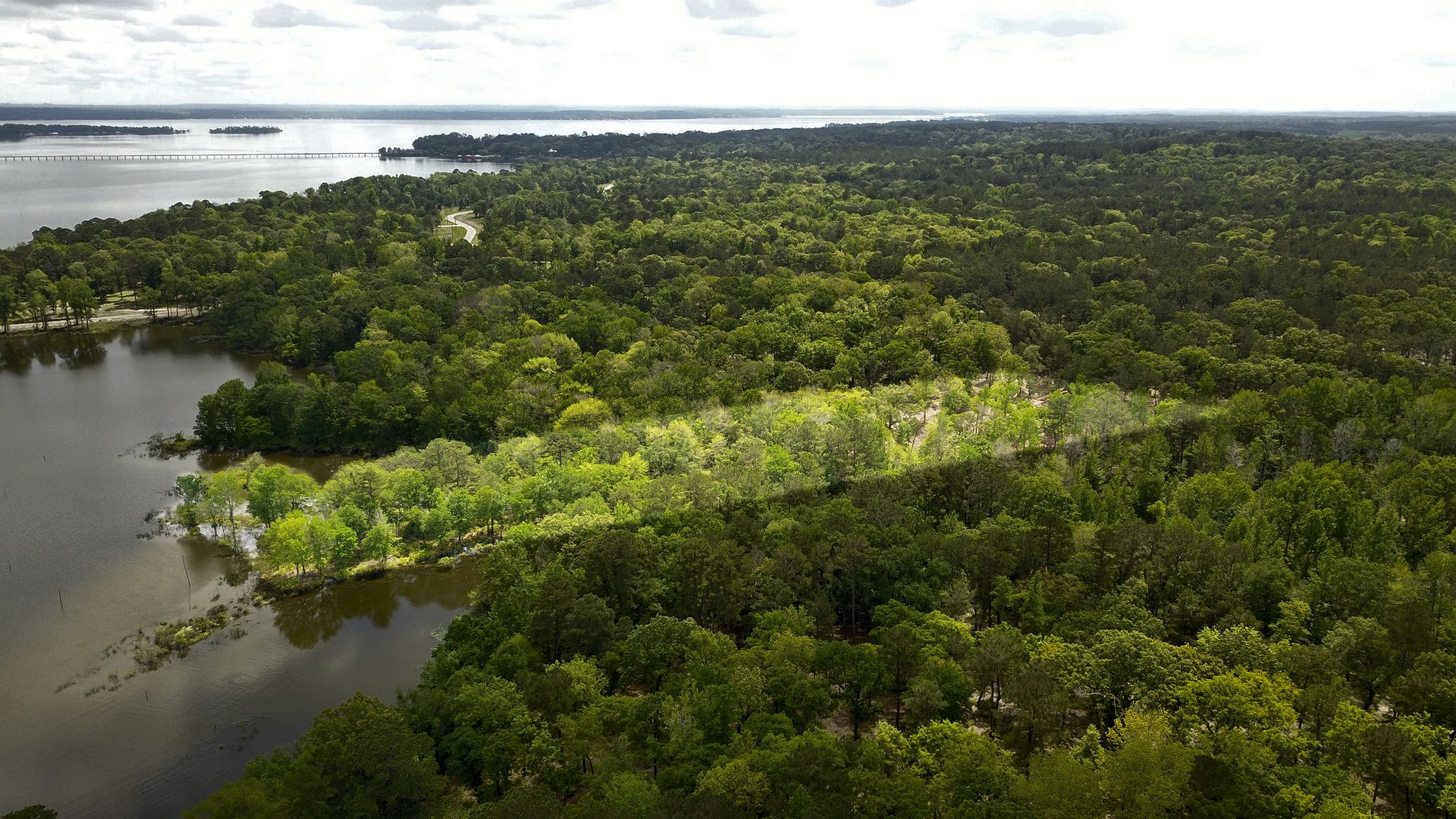 2.08 Acres, 3200 Shadow Pne Dr, Larue, TX 75770 Land and Farm