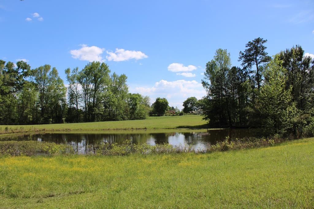 20 Acres, Midland, GA 31808 Land and Farm