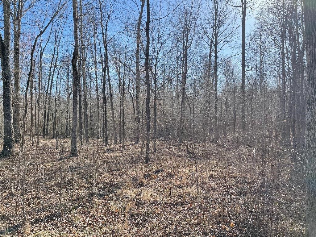 5.14 Acres, 2044 Brodies Landing, Parsons, TN 38363 Land and Farm