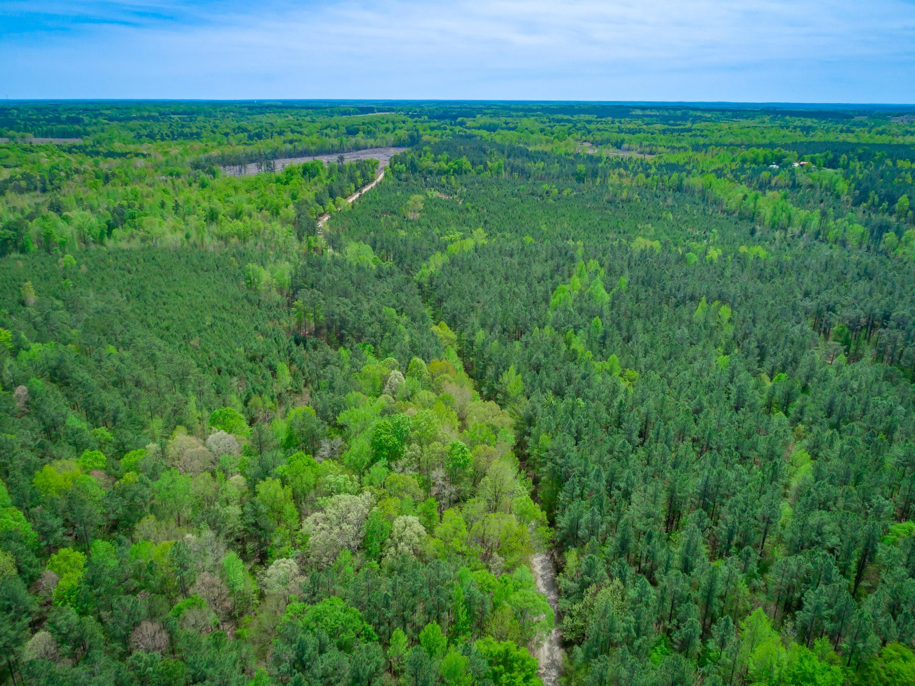 442 Acres, Heath Springs, SC 29058 Land and Farm