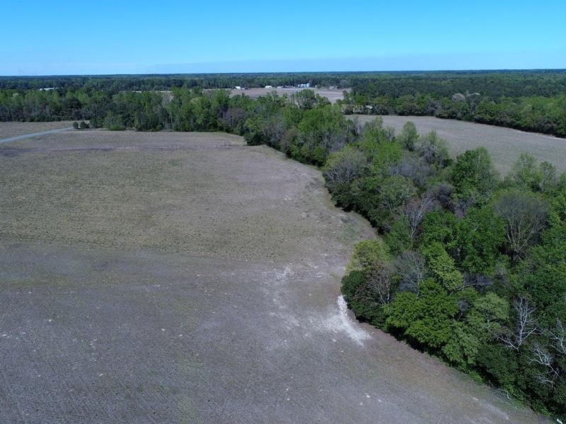 McLeod Road, Rowland, NC 28383 MLS 100378989 Land and Farm