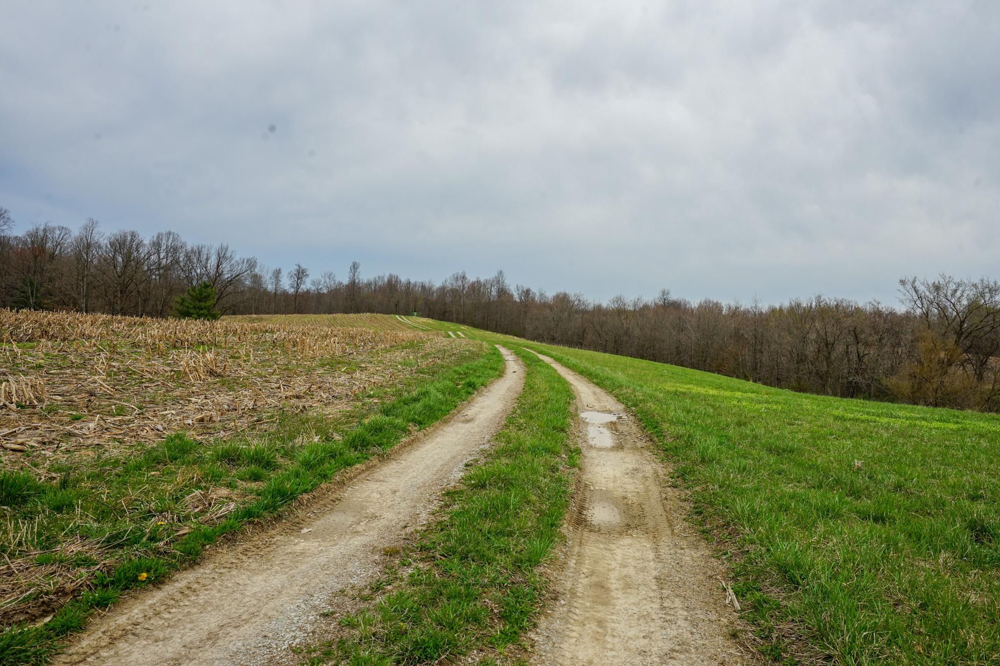28 Acres, 0 Stoneburner Rd, Crooksville, OH 43731 Land and Farm
