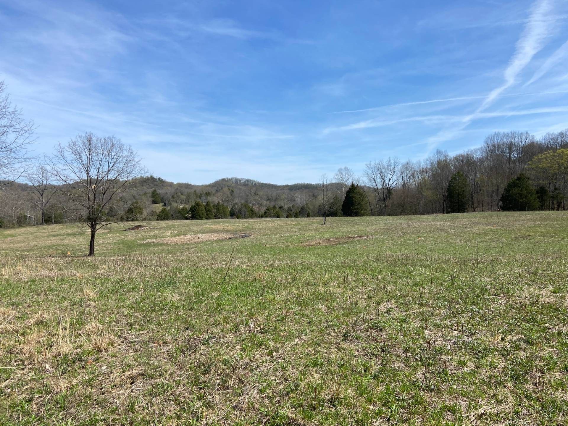12.76 Acres, 328 Dug Hill Rd., Elk Horn, KY 42733 Land and Farm