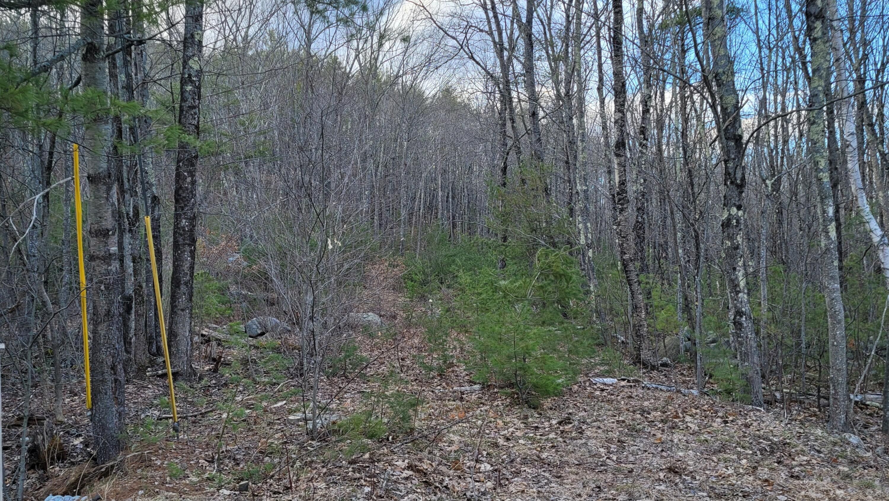 5.2 Acres, Lot 441 South Waterboro Road, Lyman, ME 04002 Land and Farm