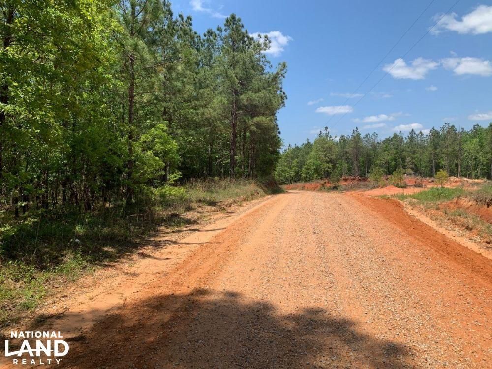 19 Acres, Blue Springs Road, Chunky, MS 39323 Land and Farm