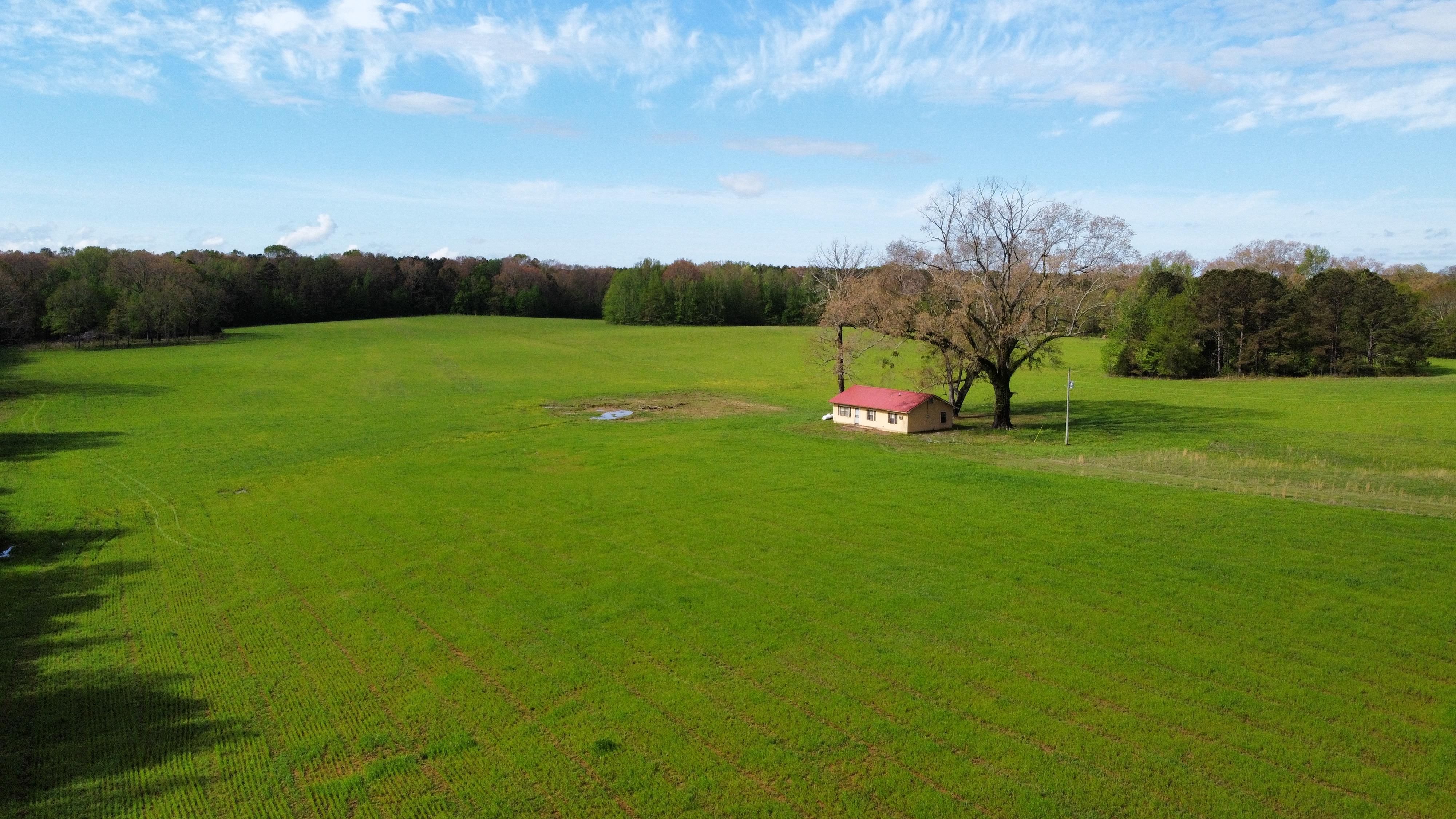 50 Acres, Pickens, MS 39146 Land and Farm