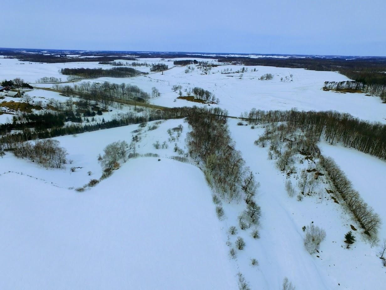 40 Acres, E6230 County Rd W, Ridgeland, WI 54763 Land and Farm