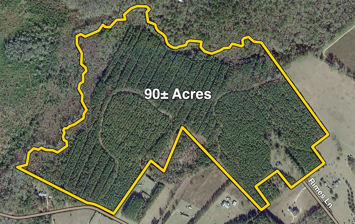 90 Acres, 201 Rimes Lane, Brooklet, GA 30415 Land and Farm