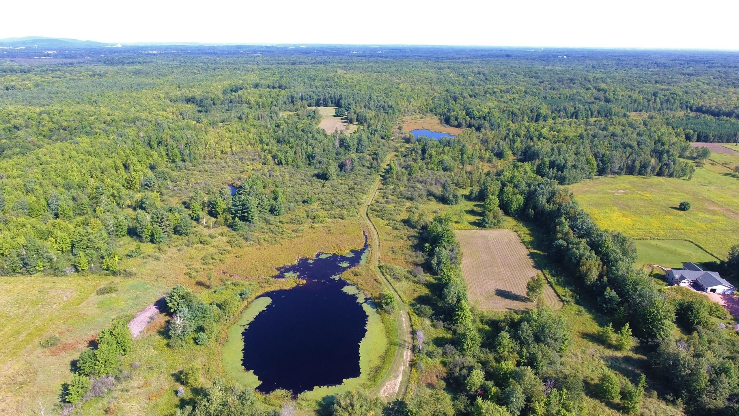 109.54 Acres, North Road, Mosinee, WI 54455 Land and Farm