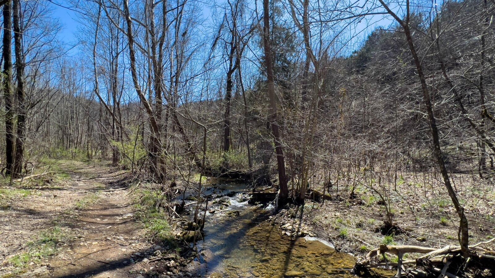 30 Acres, 400 River Bluff Rd, Fort Blackmore, VA 24250 Land and Farm