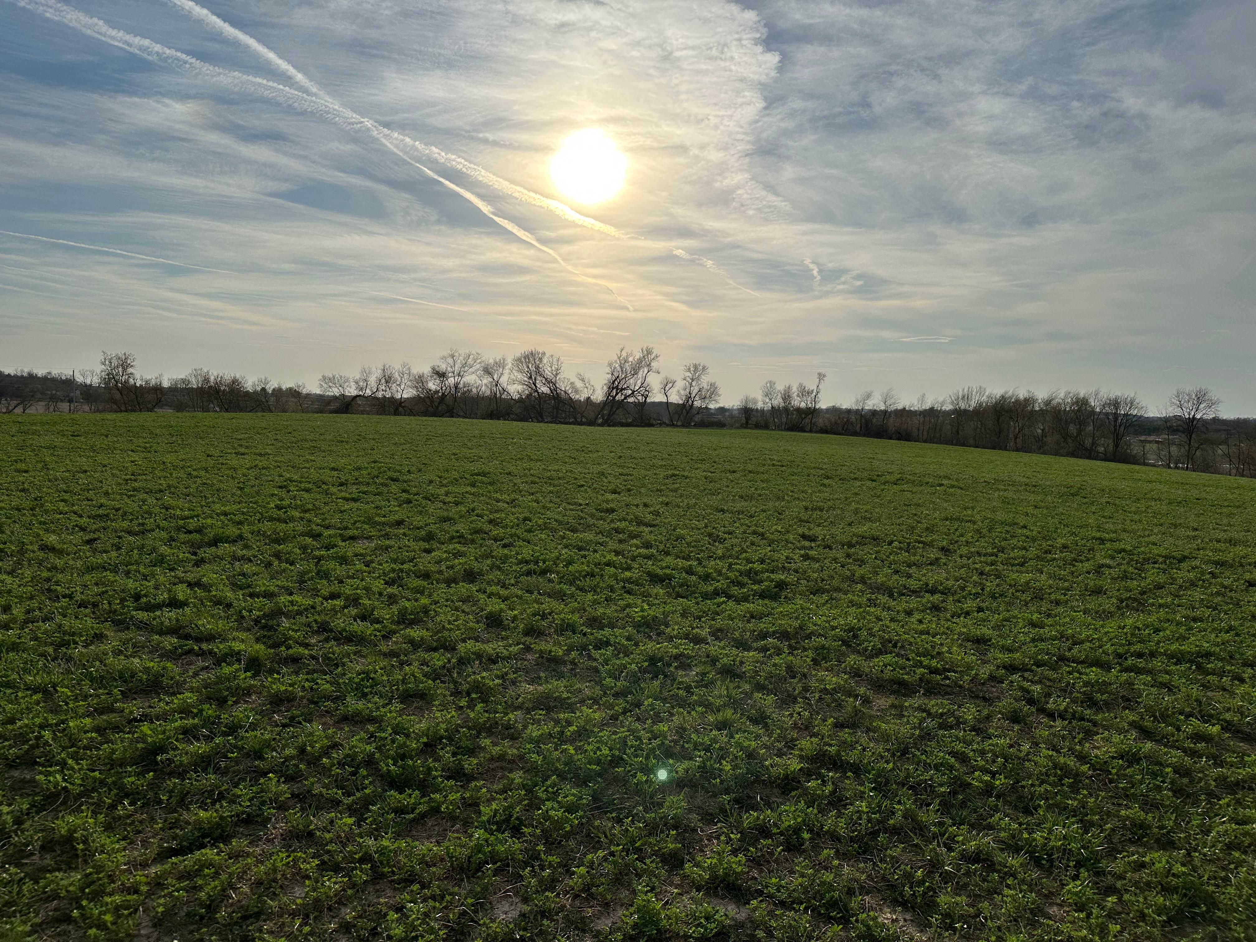 32 Acres, Porter Rd, Ripon, WI 54971 Land and Farm