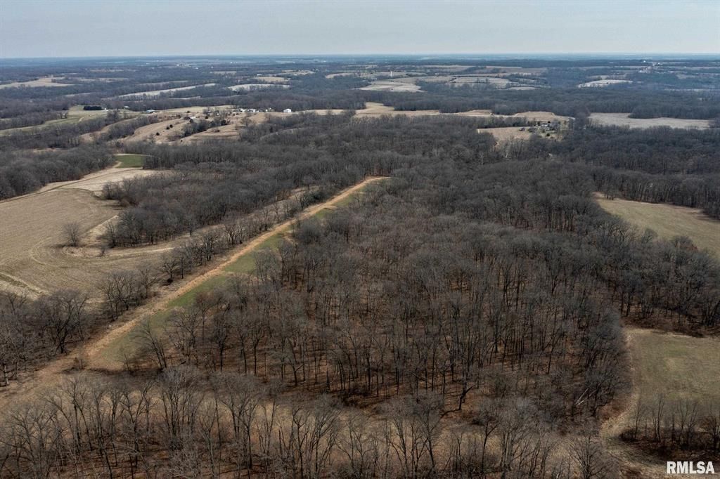 75 Acres, Baylis, IL 62314 Land and Farm