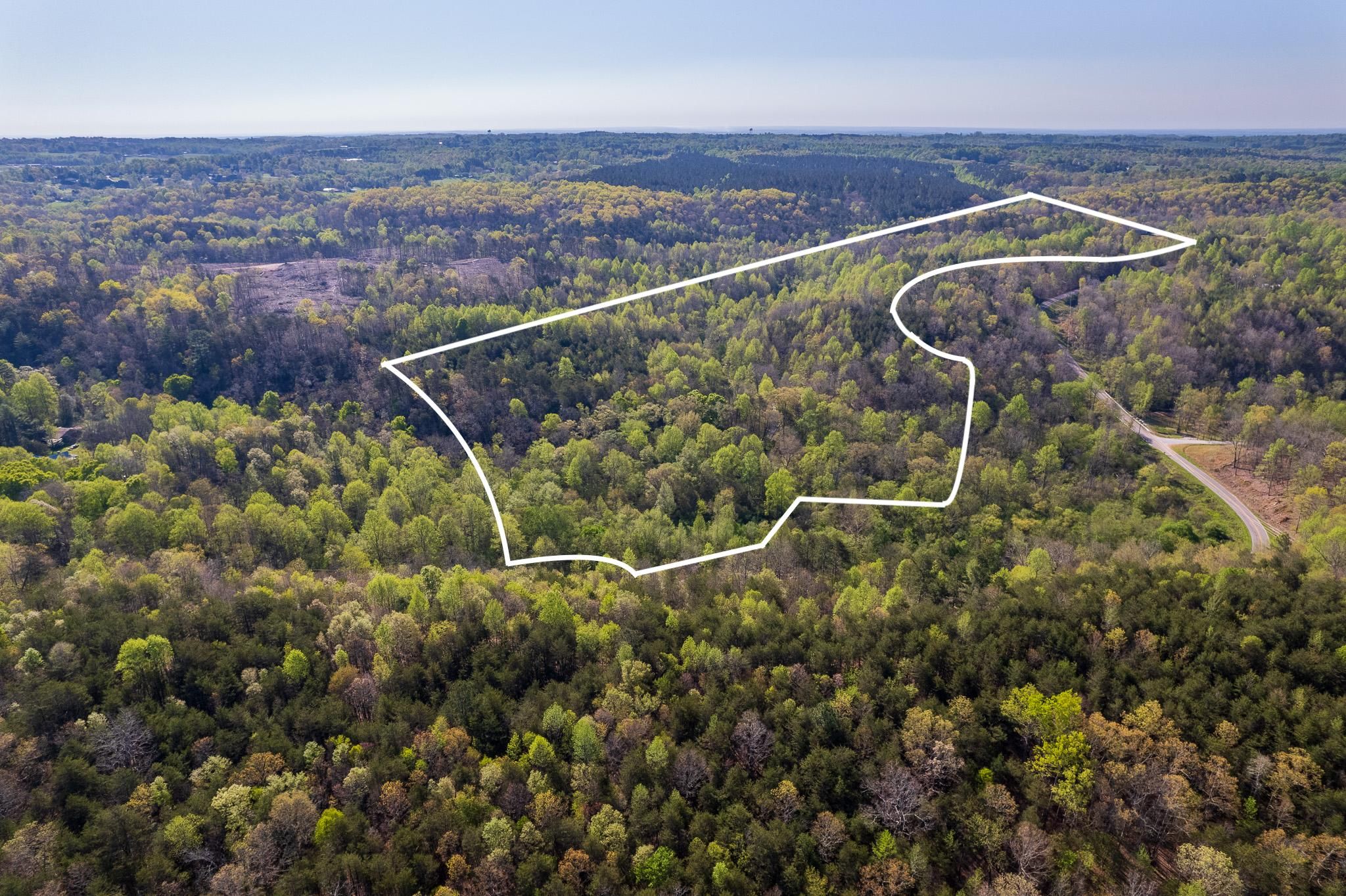 59.97 Acres, 8300 Mud Creek Rd, Alto, GA 30510 Land and Farm