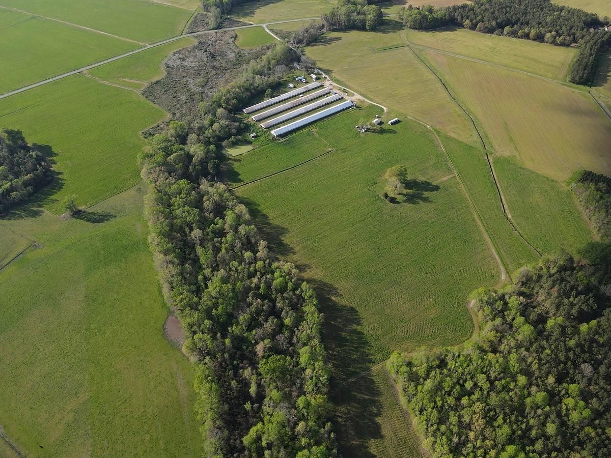 196 Dillion Lane, Tarboro, NC 27886 MLS B474 Edgewood Poultry Farm