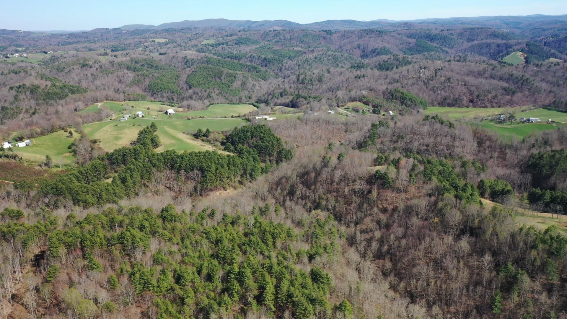 100 acres in Willis, VA, 24380 Land and Farm