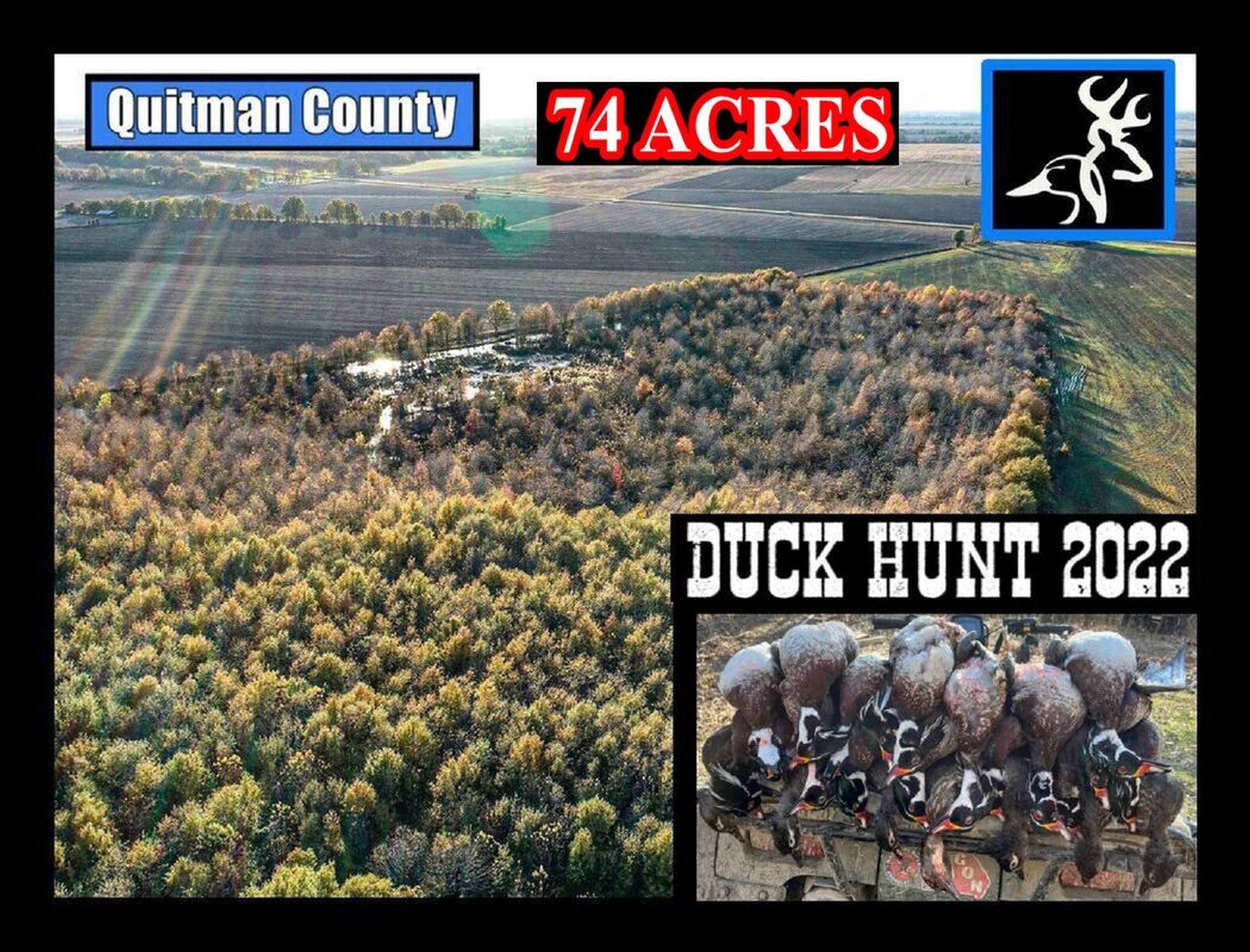 321 Ellis Rd, Lambert, MS 38643 Land and Farm