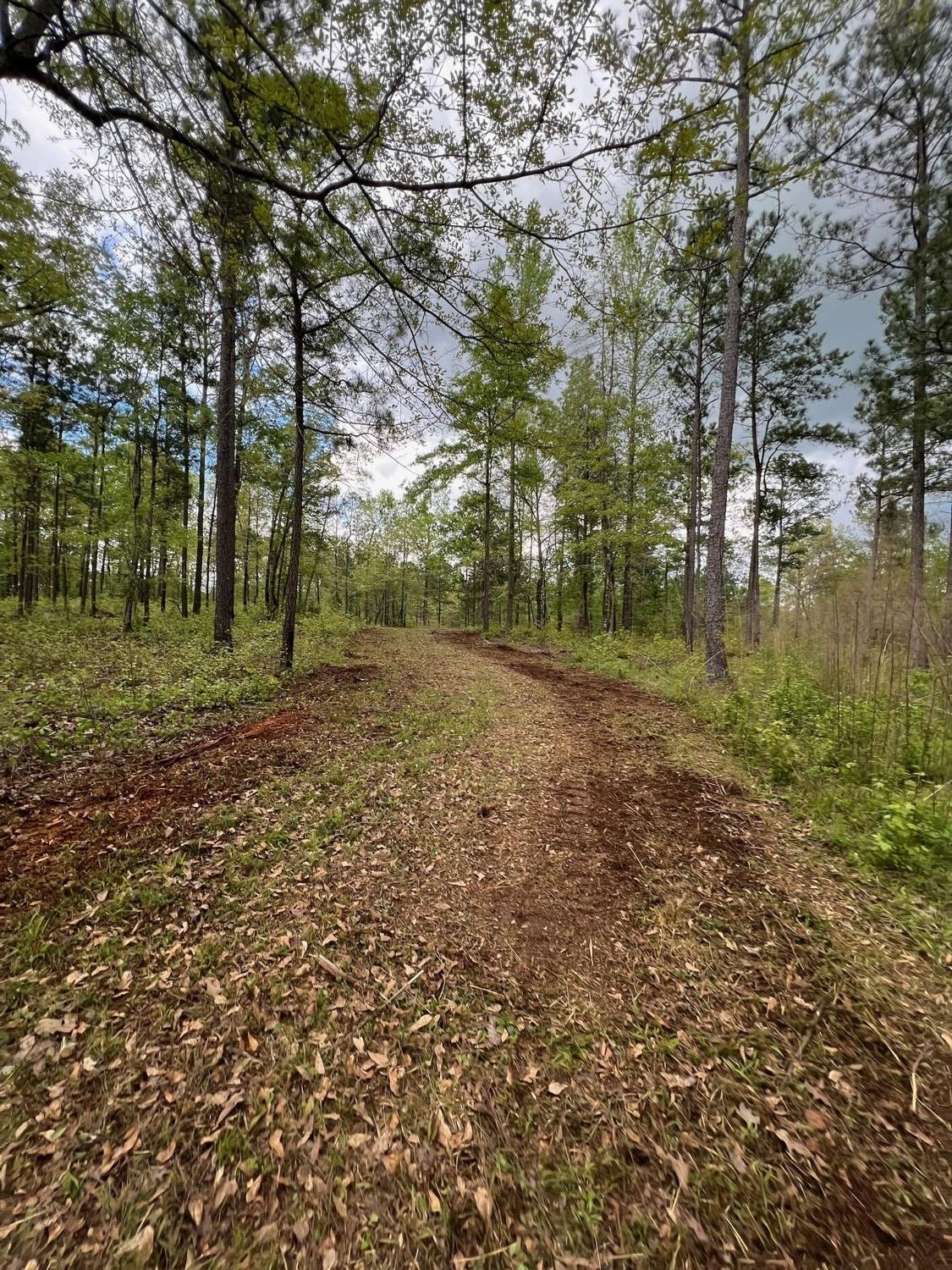Newton Factory Bridge Road, Covington, GA 30014 Land and Farm