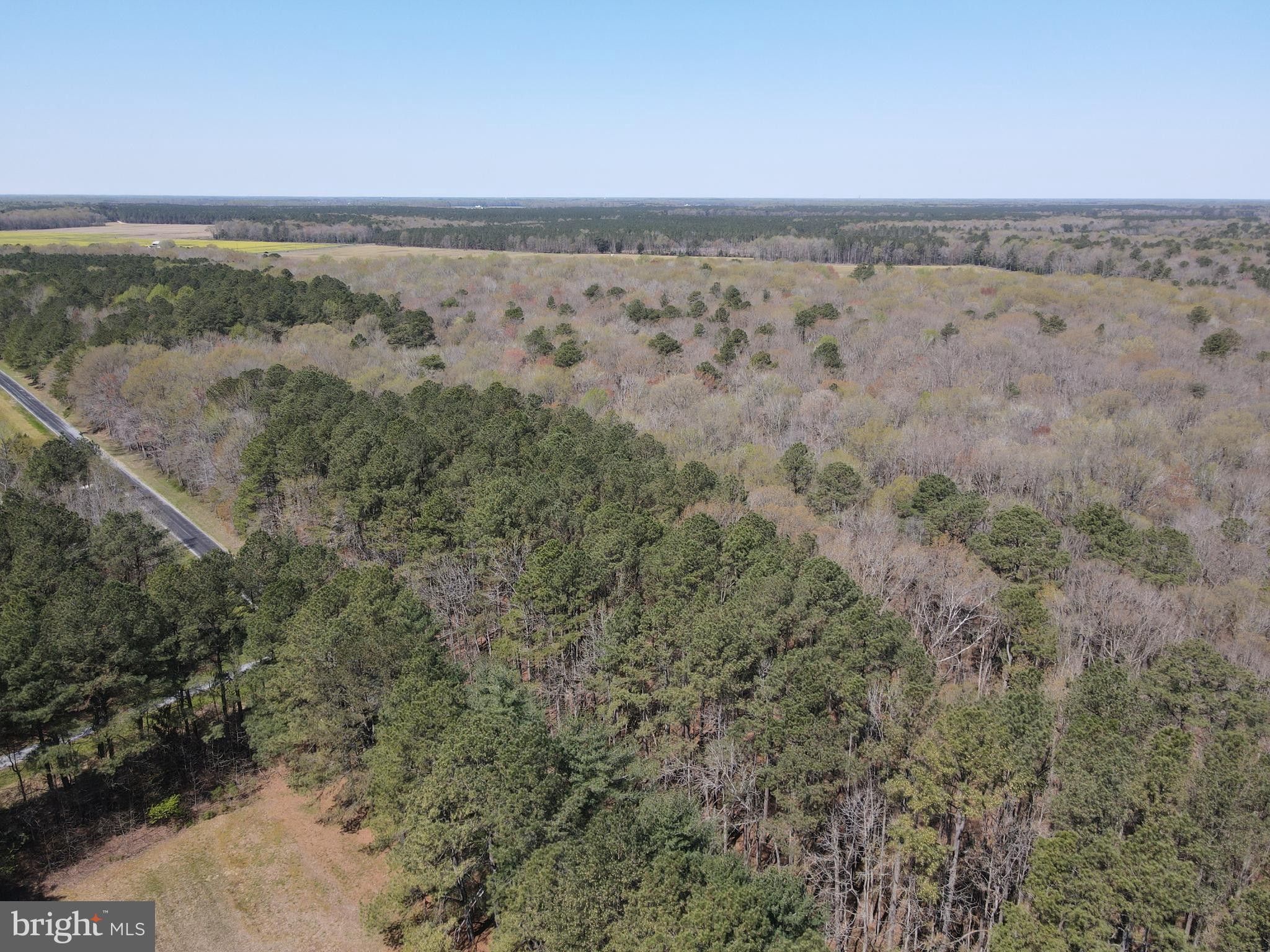6.9 Acres, 0 CATTAIL BRANCH ROAD, Greenwood, DE 19950 Land and Farm