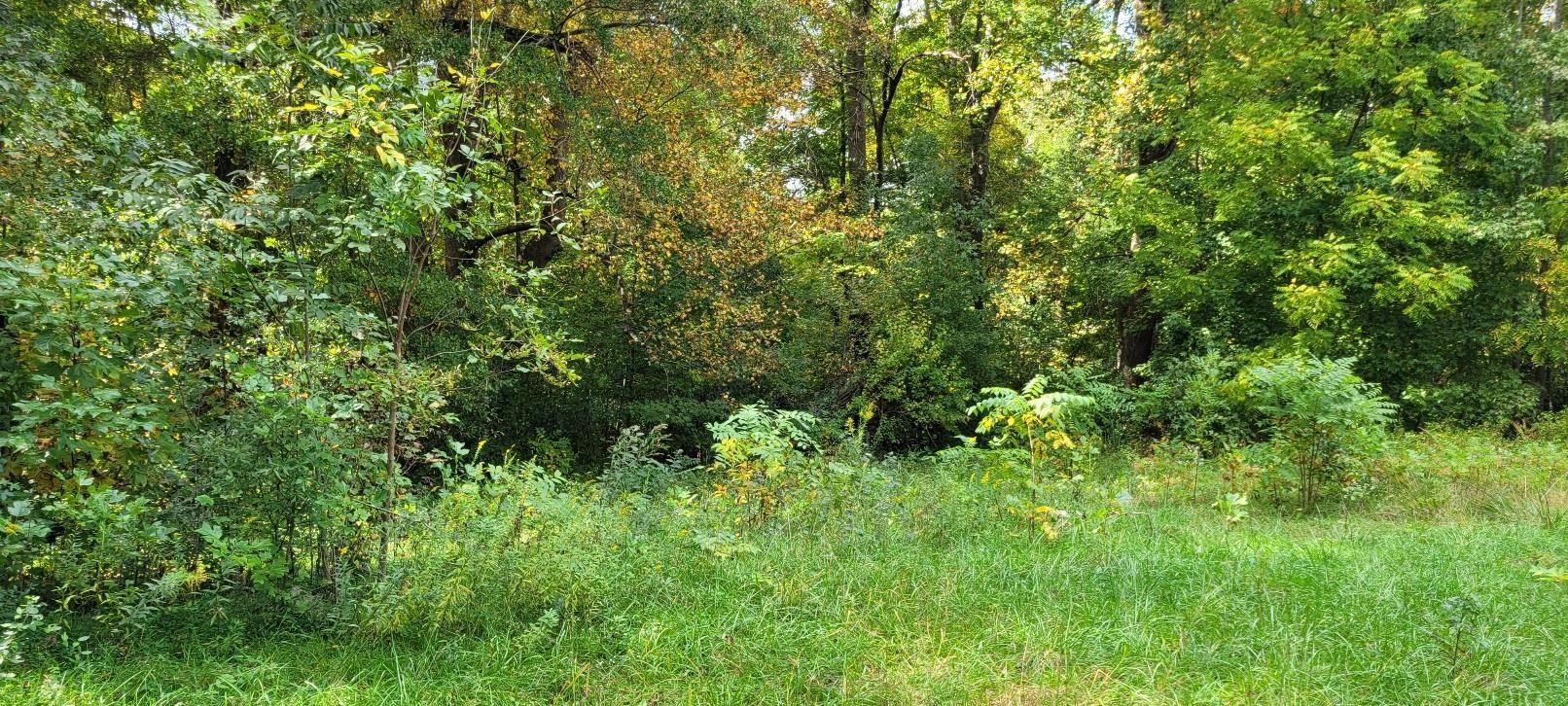 1.34 Acres, 2558 John Dodd rd, Wellford, SC 29385 Land and Farm