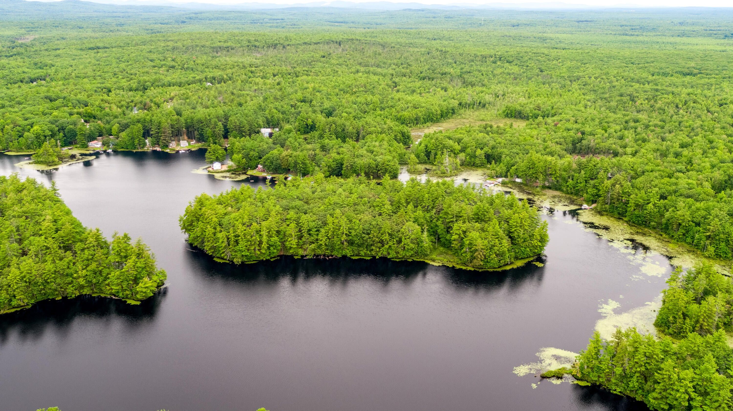 7.3 Acres, Wadleigh Pond Island Road, Lyman, ME 04002 Land and Farm
