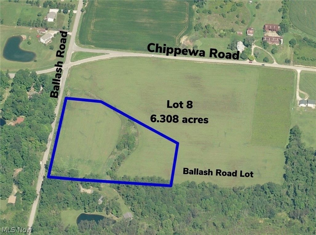 6.31 Acres, Ballash Road, Medina, OH 44256 Land and Farm