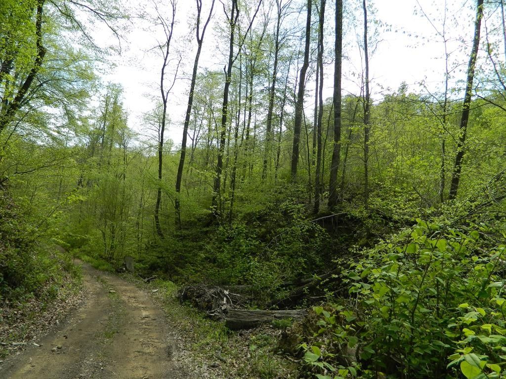 0 Narrows Branch Road, Hardy, KY 41531 MLS 118448 Land and Farm