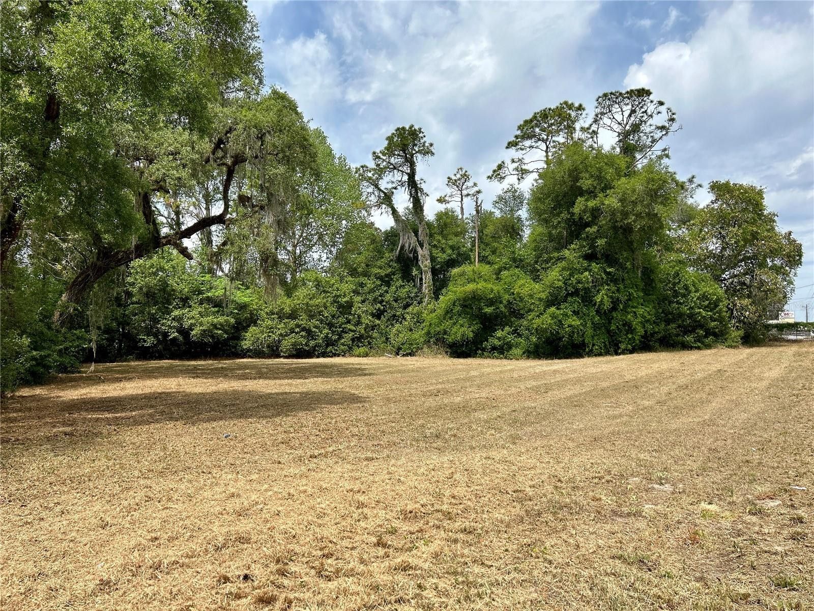 3.19 Acres, 5666 S FLORIDA AVENUE, Floral City, FL 34436 Land and Farm