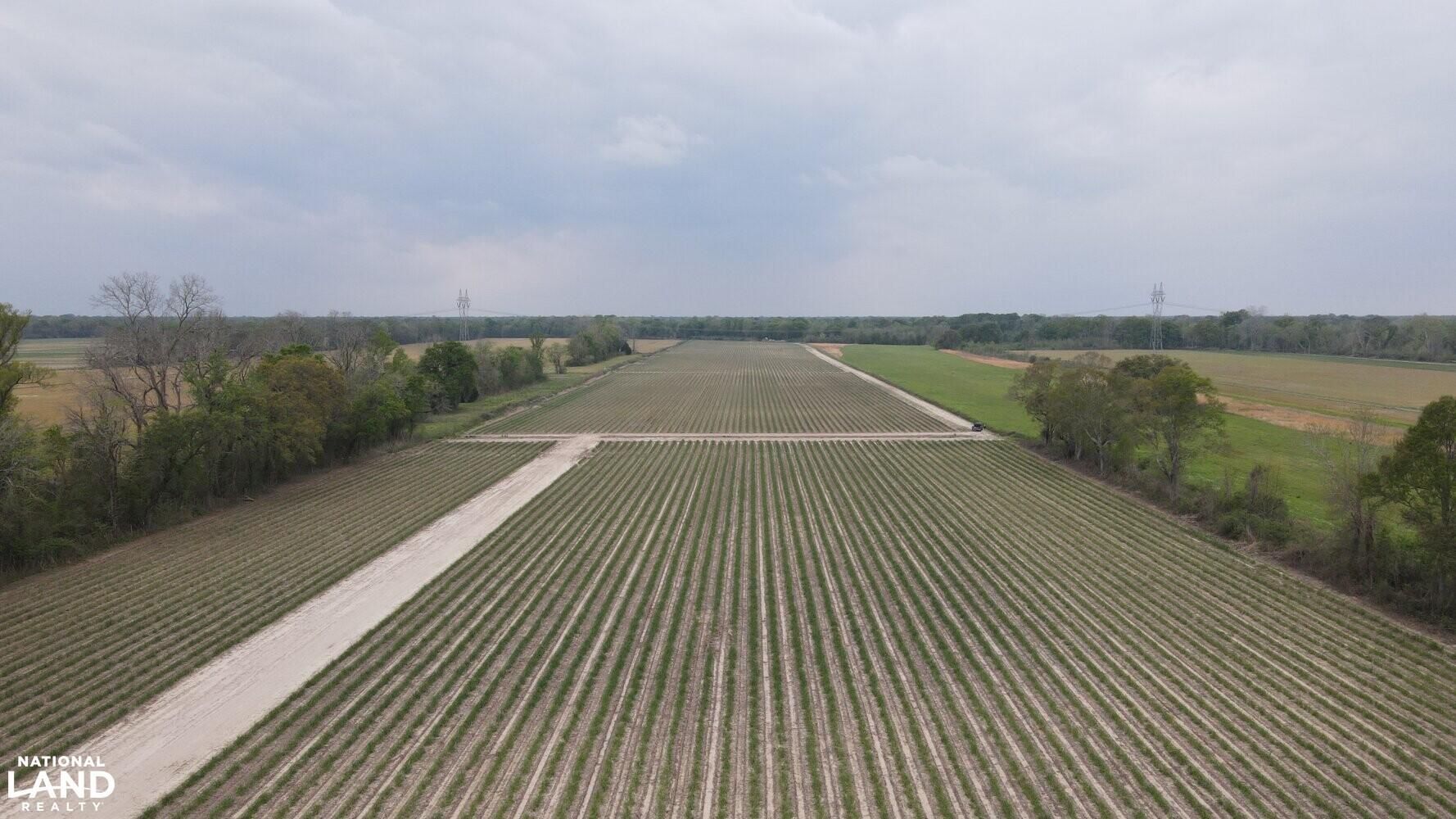 96 Acres, 20064A 0 Hwy 77, Grosse Tete, LA 70740 Land and Farm