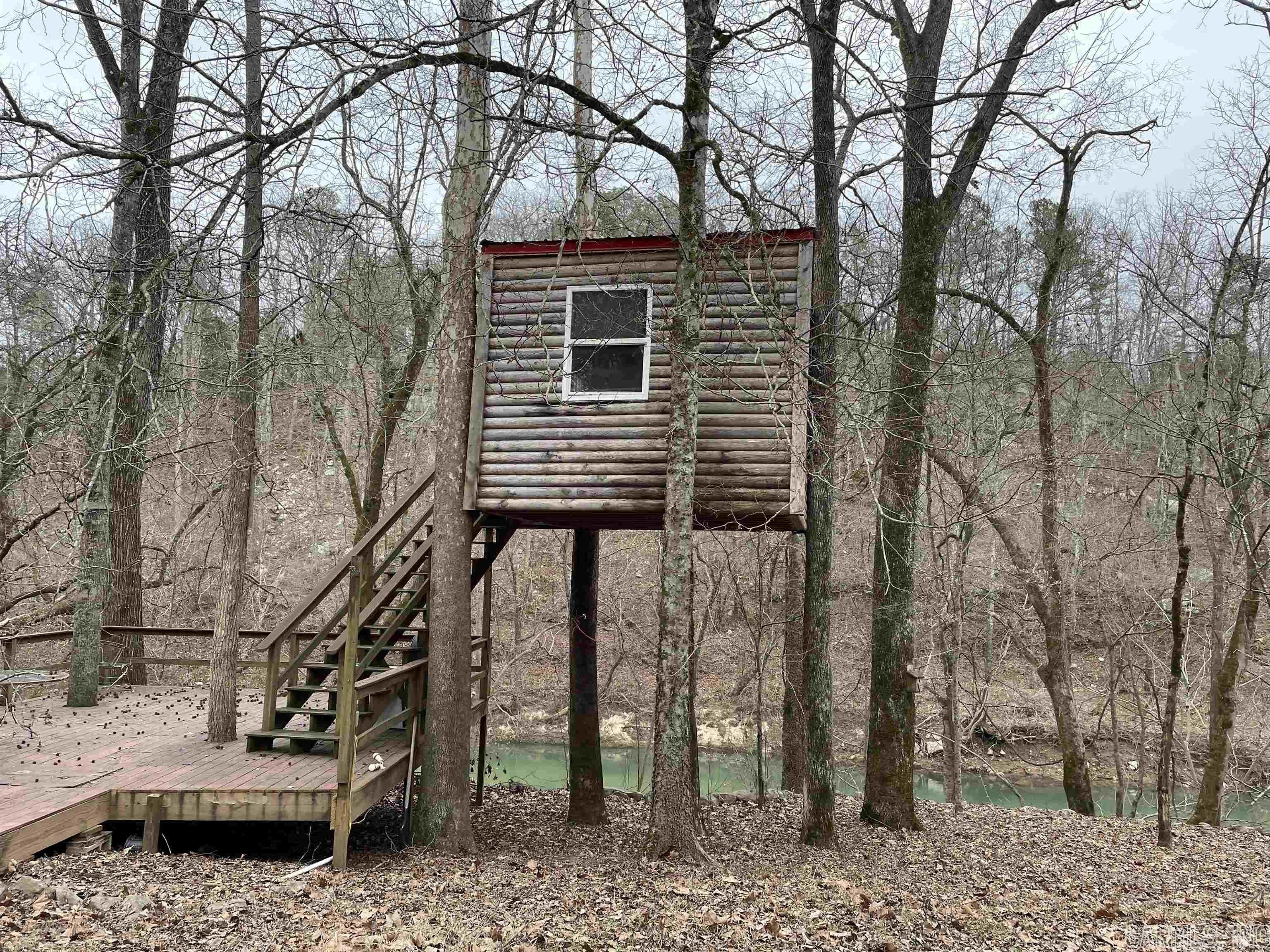 4 Acres, 169 Piney Creek Way, Calico Rock, AR 72519 Land and Farm