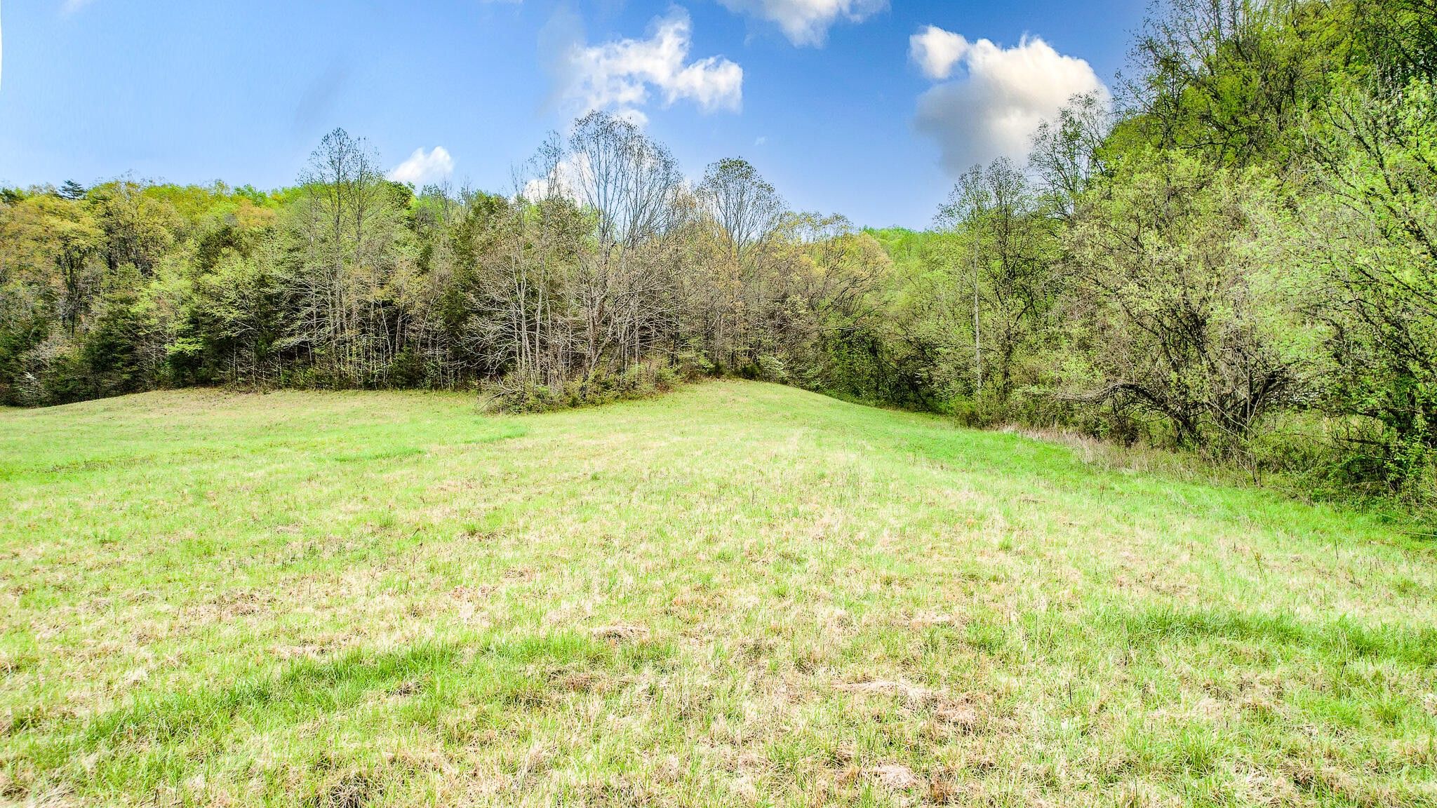 60.3 Acres, Tbd Sinking Creek Road, Parrottsville, TN 37843 Land and Farm