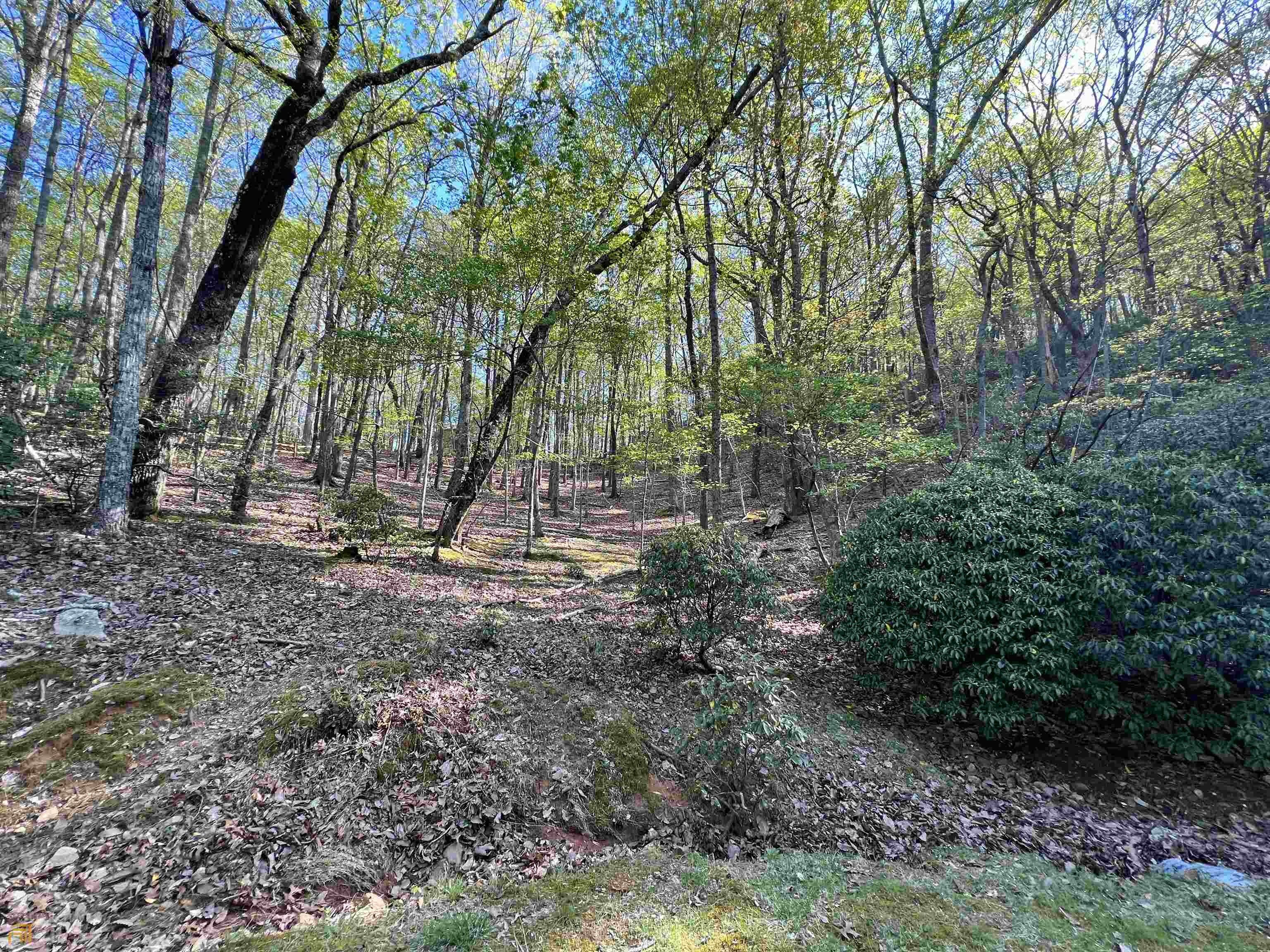 0.99 Acres, 0 Mulligan Way, Jasper, GA 30143 Land and Farm