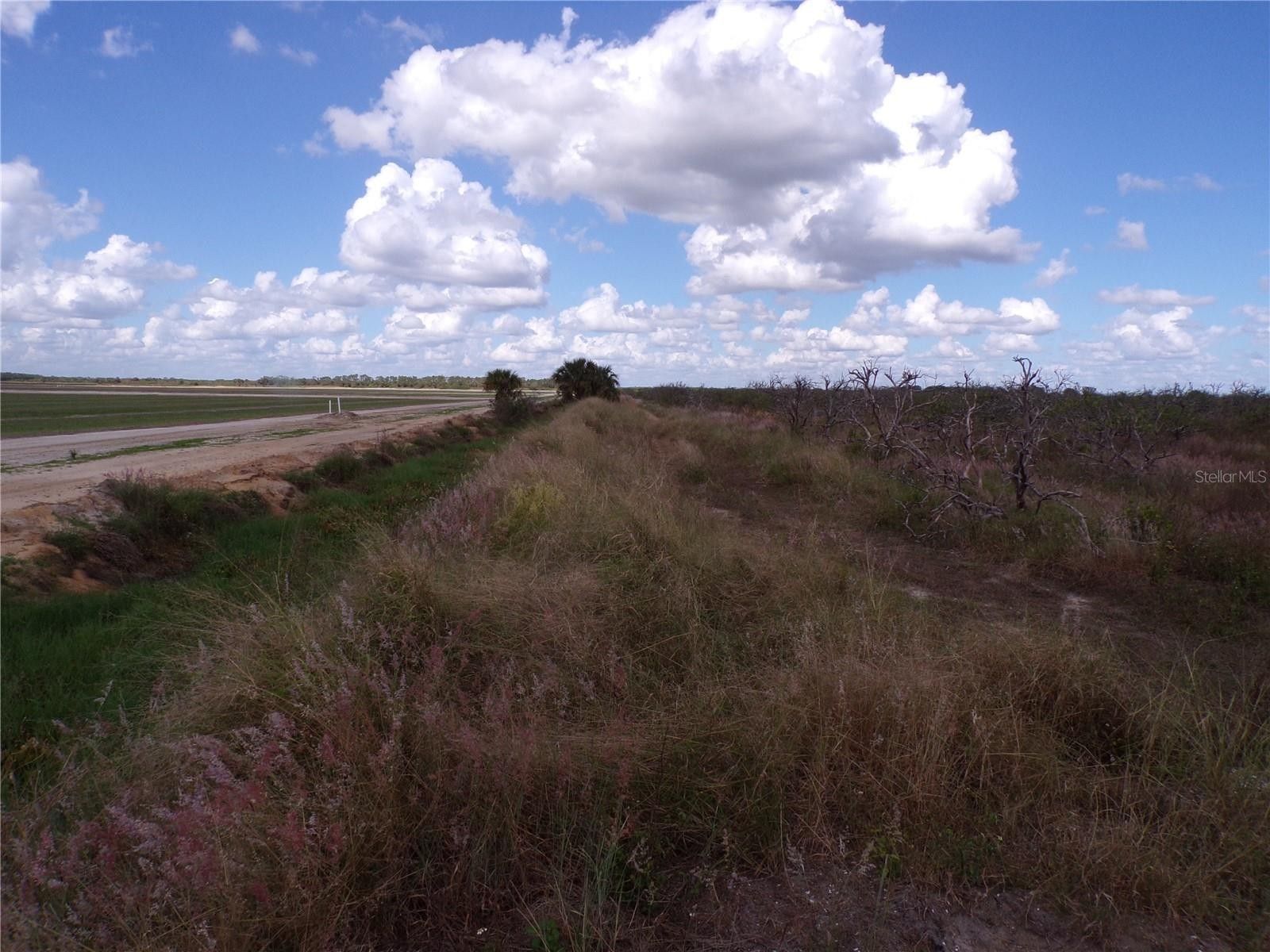 10 Acres, NEAL ROAD, Punta Gorda, FL 33982 Land and Farm