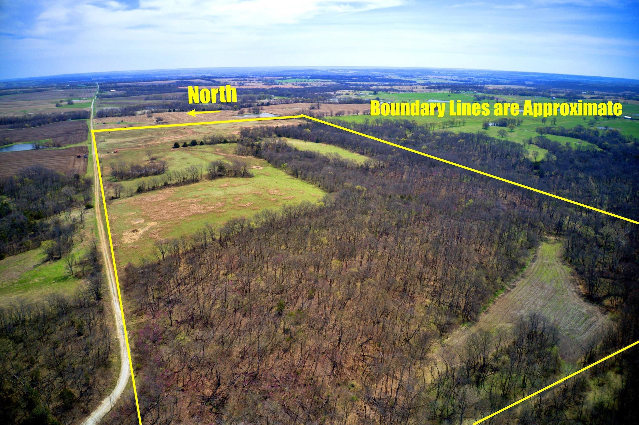 80 Acres, NE Layton Road, Braymer, MO 64624 Land and Farm