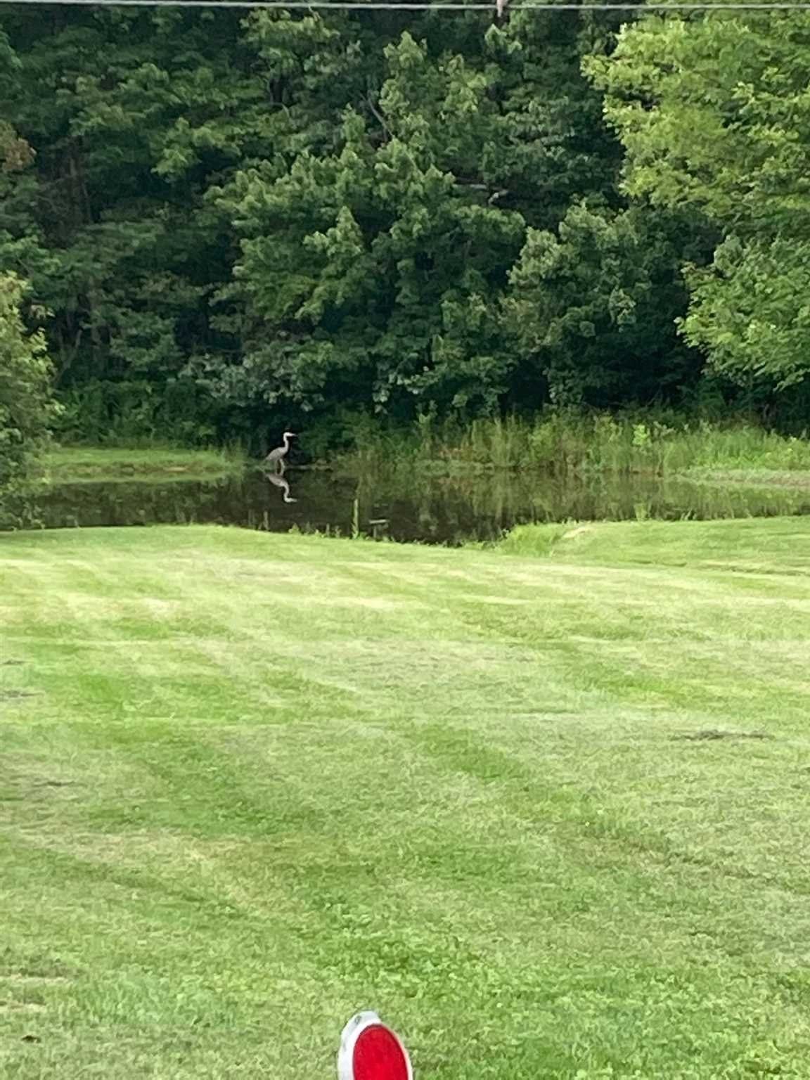 30 Acres, 876 SOUTH, Plattekill, NY 12528 Land and Farm