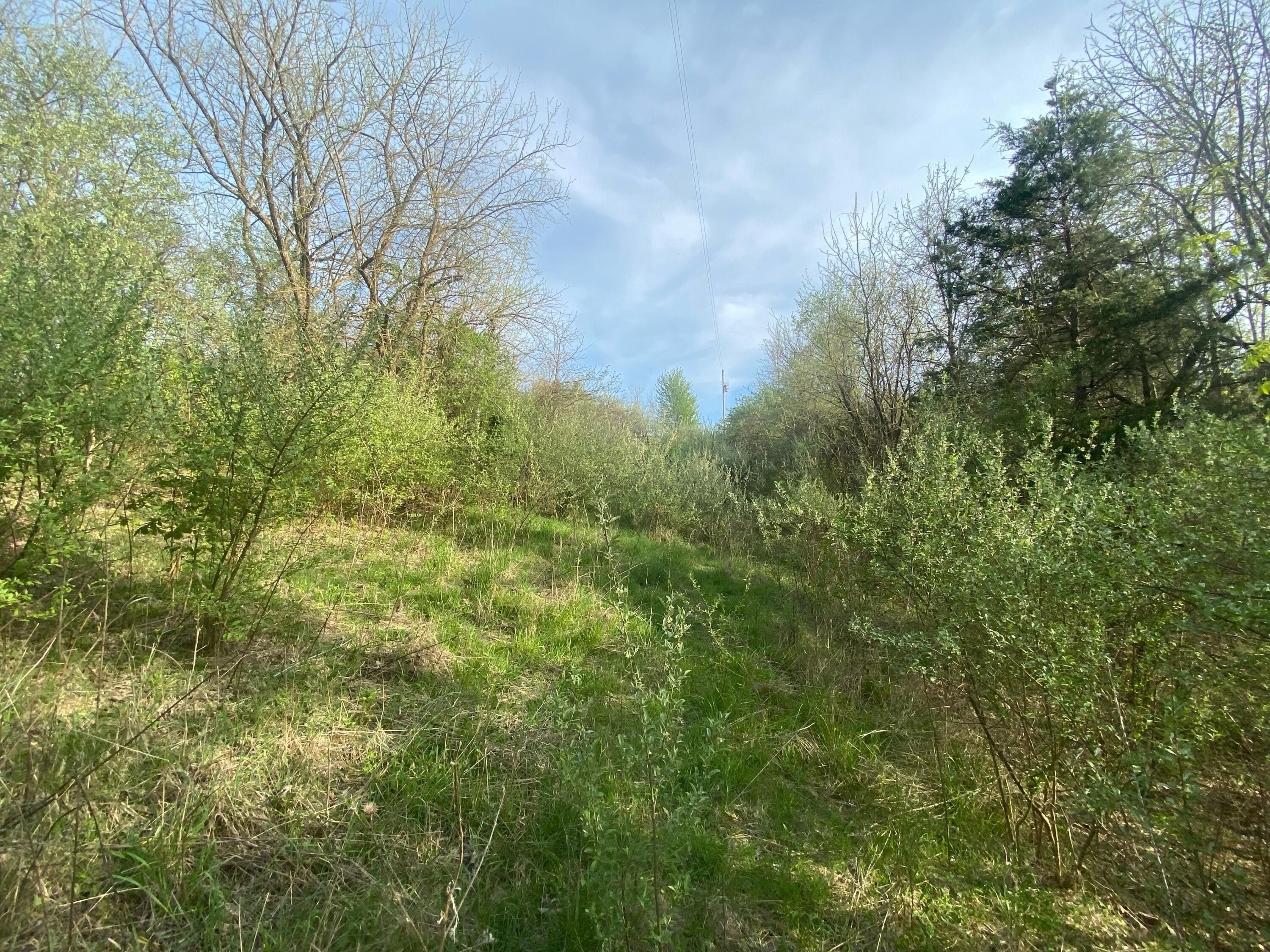 10 Acres, 1633 Dixon (LAND 10acres) Road, Sadieville, KY 40370 Land