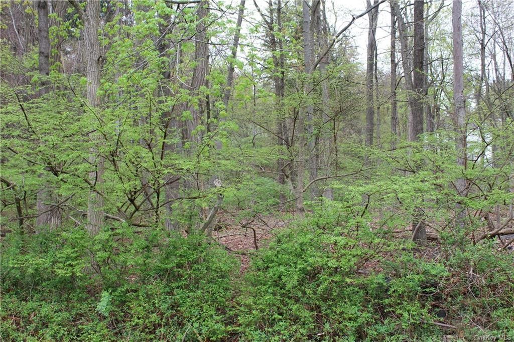 1.04 Acres, 580 Croton Heights Road, Yorktown, NY 10598 Land and Farm