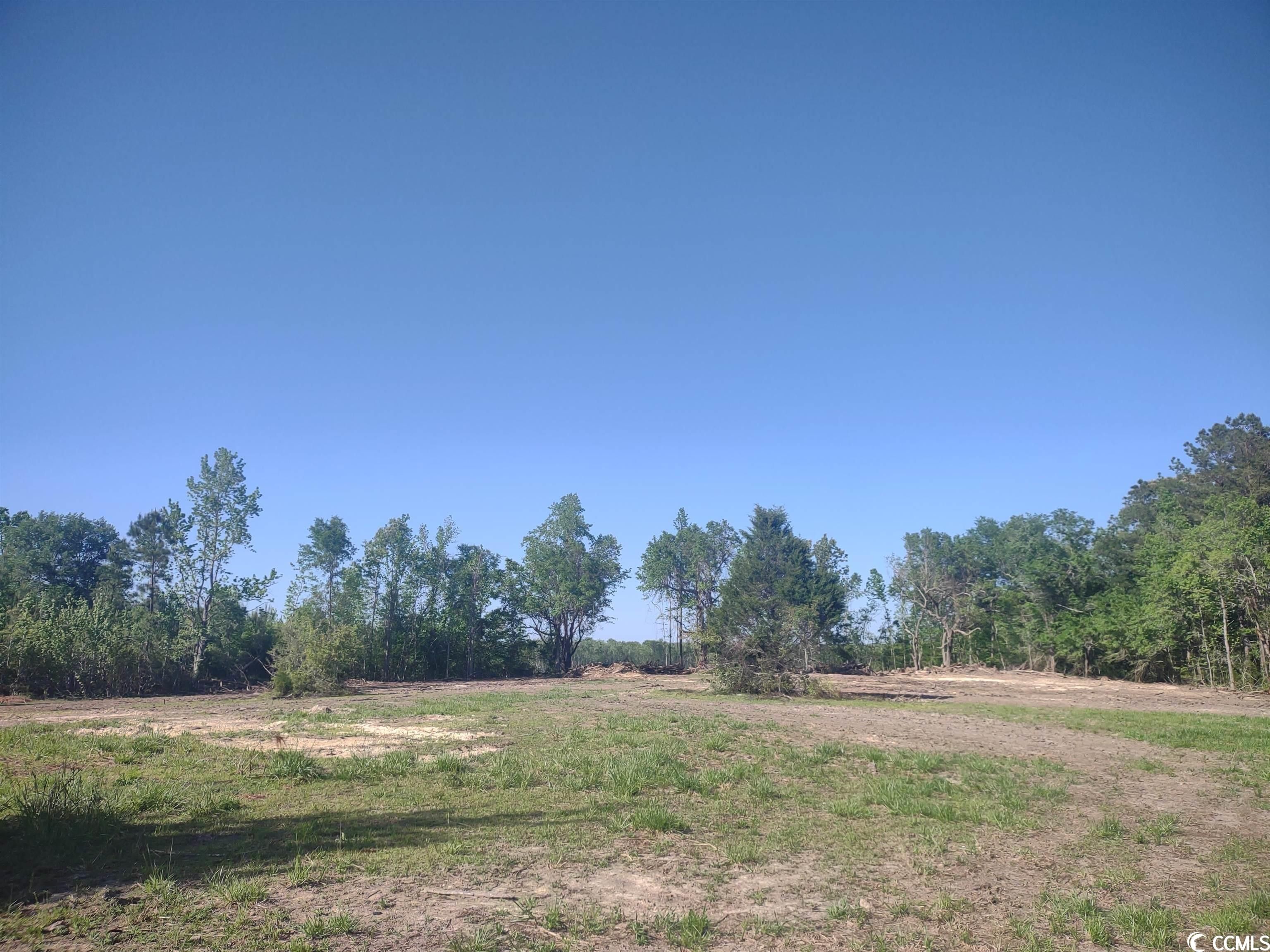 95 Acres, TBD Mingo Chandler Rd., Nesmith, SC 29580 Land and Farm